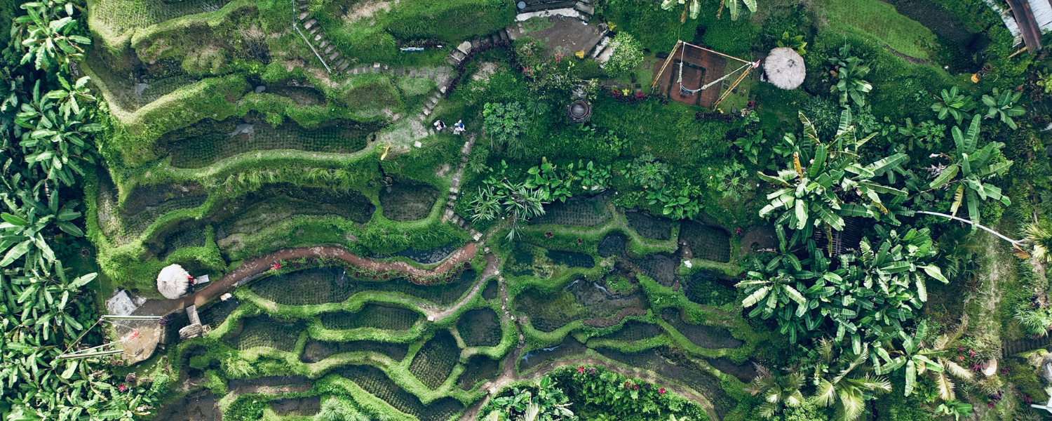 INDONÉSIE | BALI 