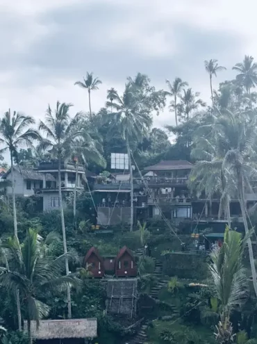 Photo de présentation article Ubud