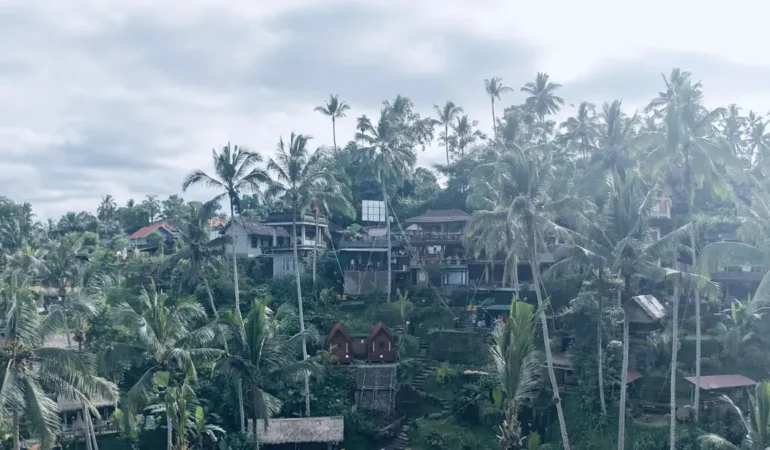 Visiter Ubud en 3 jours | Un endroit immanquable