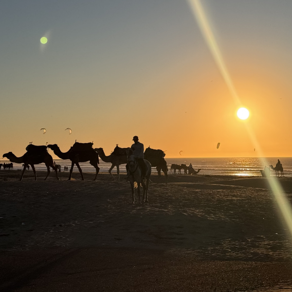 maroc-destination